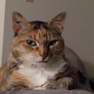 Meet your Posher, Stacey